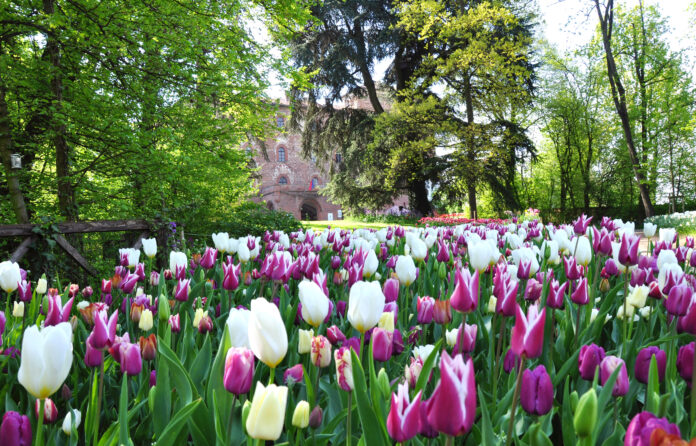 CASTELLO DI PRALORMO_Messer Tulipano 0f giardino pralormo tulipani