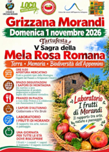 grizzana_morandi26