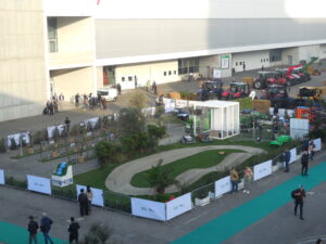 eima green