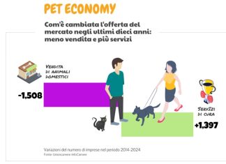 Pet Economy