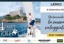 4 zampe nel golfo