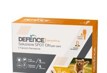 Arcaplanet Defence