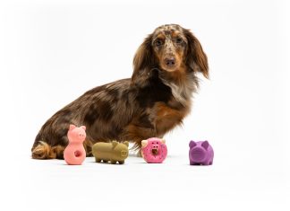 United Pets