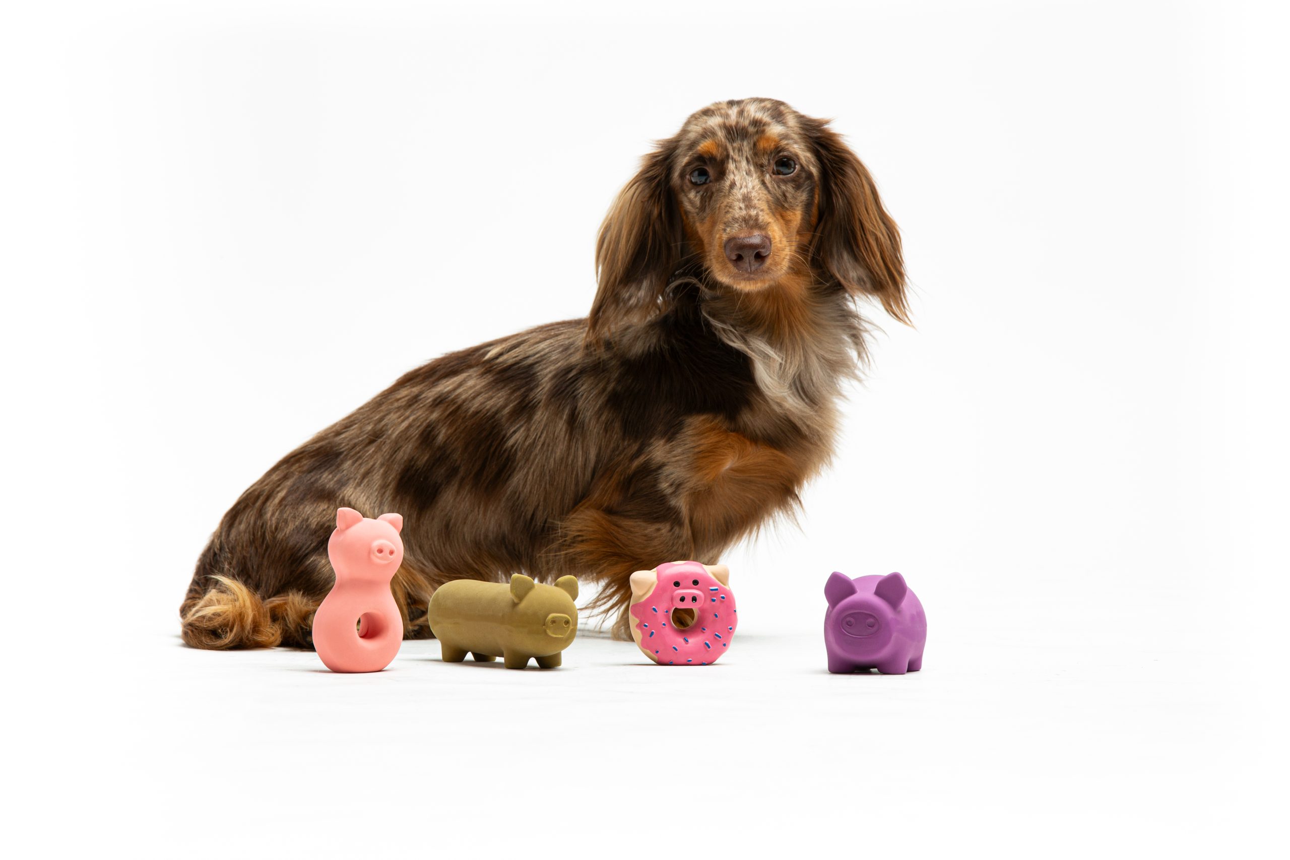United Pets
