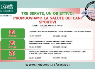 Innovet