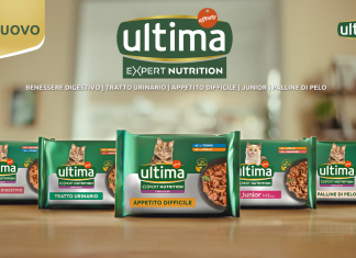 Ultima