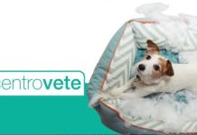 Centrovete