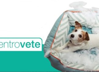 Centrovete