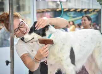 Rituali di bellezza per i pet durante la Milano Beauty Week Milano Beauty week