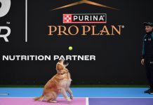 Purina