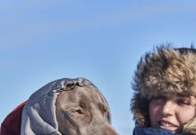 Extreme Warmer III Hurtta: la giacca invernale per cani con imbottitura in fibra Hurtta