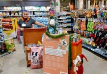 Happy Pets Days OBI: un aiuto concreto per gli animali dei rifugi