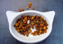 pet food