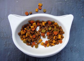 Le 8 aziende leader nel pet food in Italia pet food