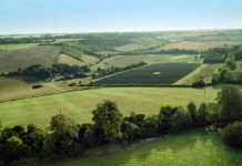 Purina lancia un nuovo progetto pilota sviluppato insieme a Biospheres