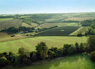 Purina lancia un nuovo progetto pilota sviluppato insieme a Biospheres