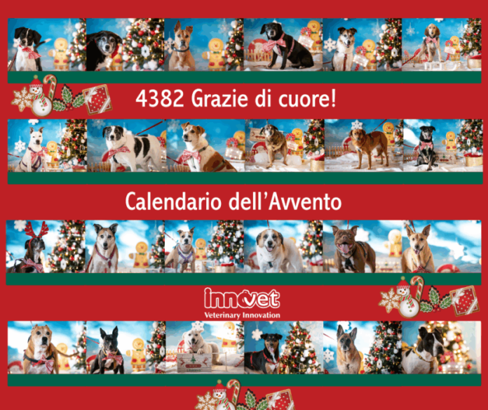 Innovet calendarioavvento 2025-ringraziamentinews Innovet