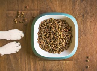 Pet-FoodTech