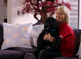 Purina annuncia i vincitori del premio BetterWithPets Purina