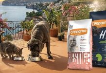 Cennamo Pet Food lancia la nuova campagna “Code Felici” Cennamo Pet Food