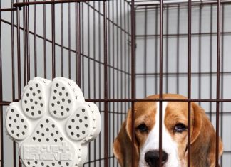 Ces 2026 Rescue Retriever