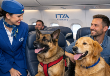 Ita Airways lancia i voli “Large Pet Friendly”: animali domestici fino a 30 kg in cabina Ita Airways