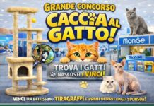 Milano Cat Show