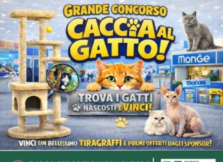 A Novegro torna il Milano Cat Show: il 7 e 8 marzo 2026 sfilano oltre 30 razze da tutto il mondo Milano Cat Show
