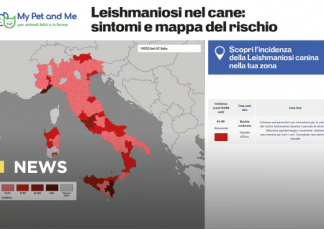 Leishmaniosi canina: Elanco lancia la mappa interattiva per monitorare l’Italia Leishmaniosi