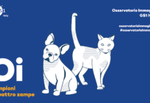 Petfood: il "senza zuccheri" e i funzionali spingono il mercato verso quota 1,2 miliardi