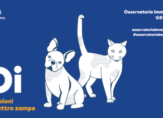 Petfood: il "senza zuccheri" e i funzionali spingono il mercato verso quota 1,2 miliardi