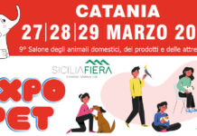 A Catania apre Expopet, il salone dedicato agli animali