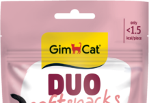 GimCat