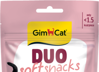 GimCat