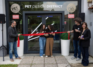 Pet Design District