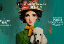 Pet Flower Parade