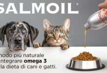 Con Salmoil, cani e gatti in forma per l’estate!