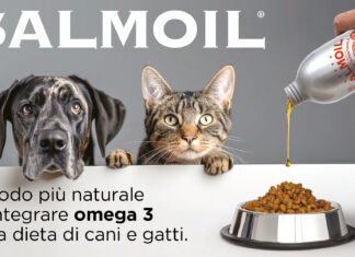 Con Salmoil, cani e gatti in forma per l’estate!