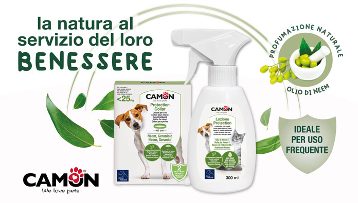 CAMON-banner-696x396px-Protection