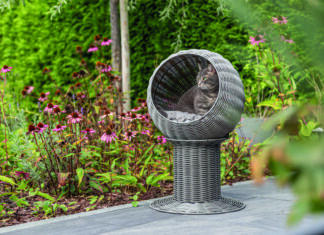 Trixie presenta Amalia: la nuova linea outdoor per gatti