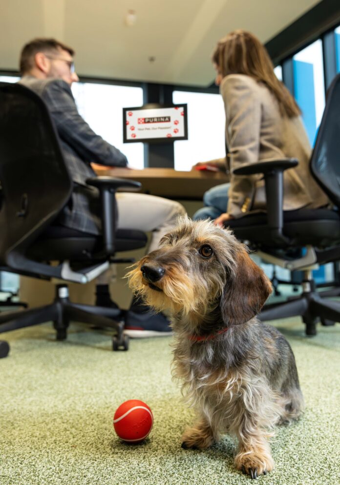 Purina 1_Pets at Work Purina