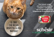 Schesir rilancia il brand con “Respect my nature” e una campagna omnichannel Schesir