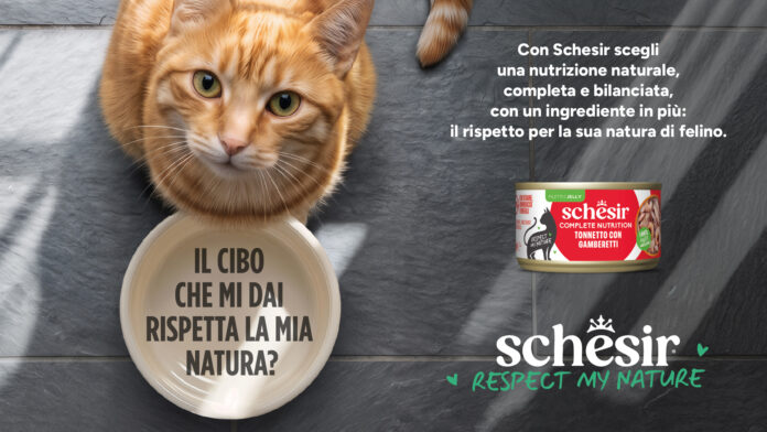 Schesir Testata Campagna Schesir