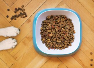 Controlli NAS sul pet food: il plauso di Assalco al sistema di vigilanza Assalco