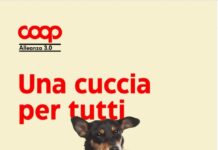 Coop Alleanza 3.0: torna la campagna “Una cuccia per tutti” contro l’abbandono estivo coop