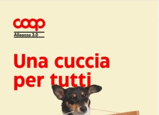 Coop Alleanza 3.0: torna la campagna “Una cuccia per tutti” contro l’abbandono estivo coop