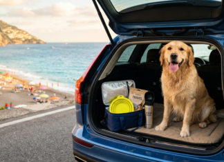 Vacanze senza barriere: il pet-friendly muove il business ENPA
