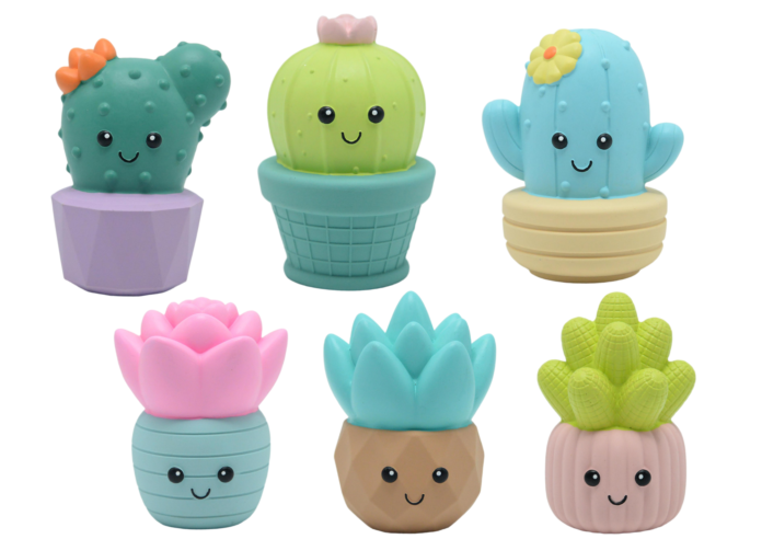 Gimborn Cactuz Fun e Cactuz Joy Gimborn