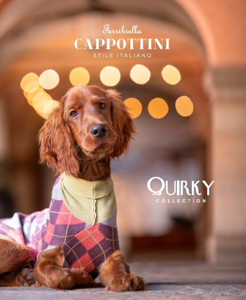 Immagine Ferribiella