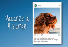 Innovet lancia la “Guida Vacanze a 4 Zampe”: consigli e soluzioni per un’estate pet-friendly Innovet